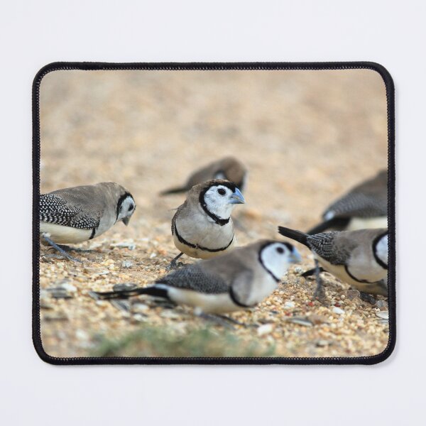 Item preview, Double Barred Finch designed and sold by HogarthArts.