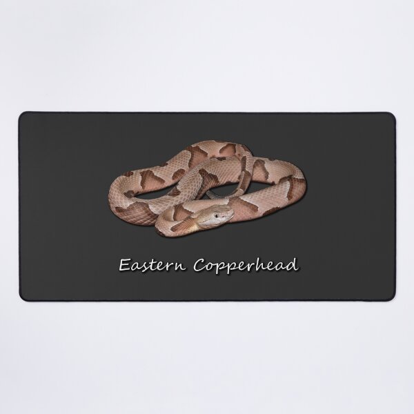 Item preview, Eastern Copperhead designed and sold by Paul-Prints.