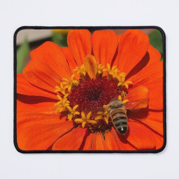 Item preview, Honeybee #1 designed and sold by ErinBrieArt.