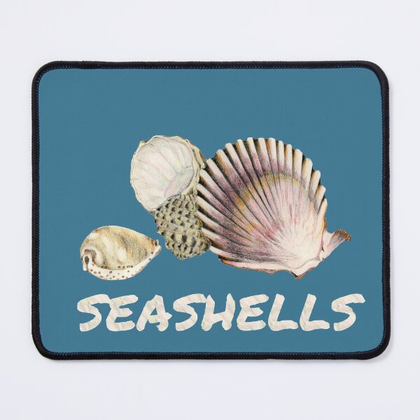 Item preview, 3 Seashells designed and sold by Heatherian.
