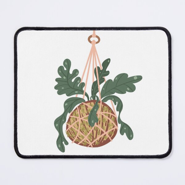 Item preview, kokedama plants illustration and pattern designed and sold by rysunki-malunki.
