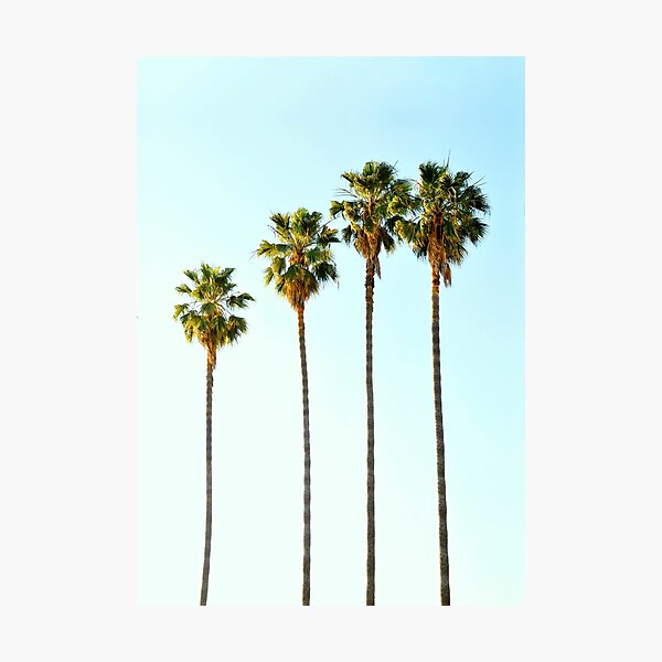 Item preview, Four palm trees designed and sold by taiprints.