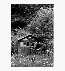 Garage Jungle Photographic Print