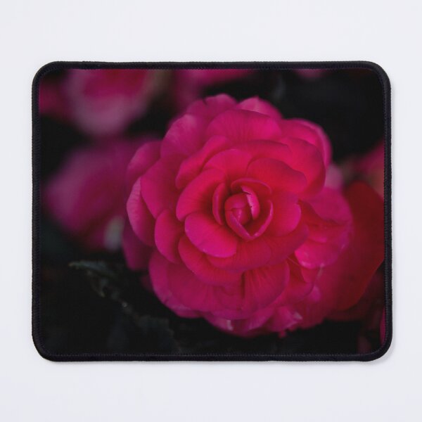 Item preview, Pink Flower Photography designed and sold by leeannac.