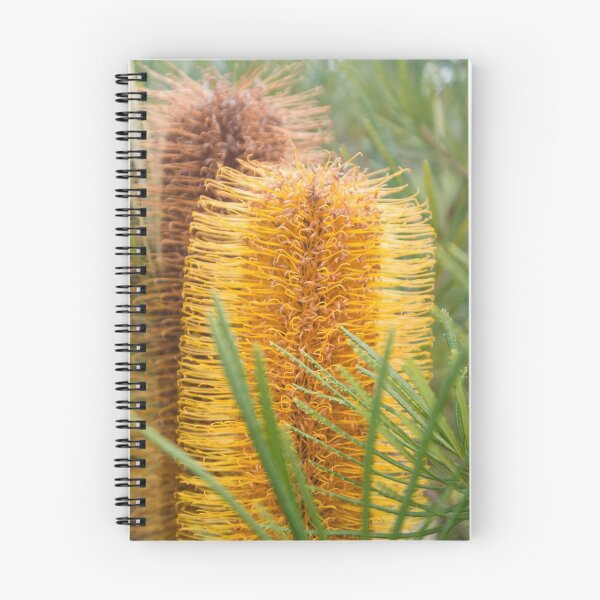 Item preview, Gold Bottle Brush designed and sold by Paulscho.