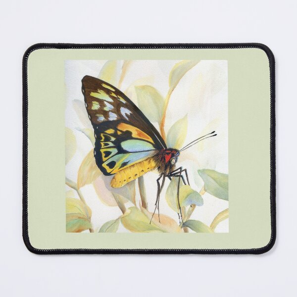 Item preview, Cairns Birdwing Butterfly Watercolour Painting by Heather Holland designed and sold by Heatherian.
