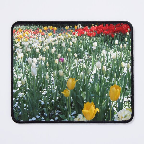 Item preview, Floriade, Canberra Australia Nr 31 designed and sold by Heatherian.
