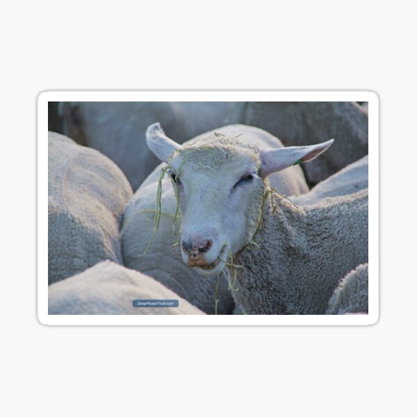 The Joy of Hay Sticker