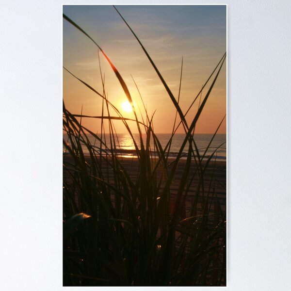 Item preview, Sunrise on the Dunes designed and sold by Barbara  Brown.