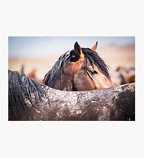 The Look Photographic Print