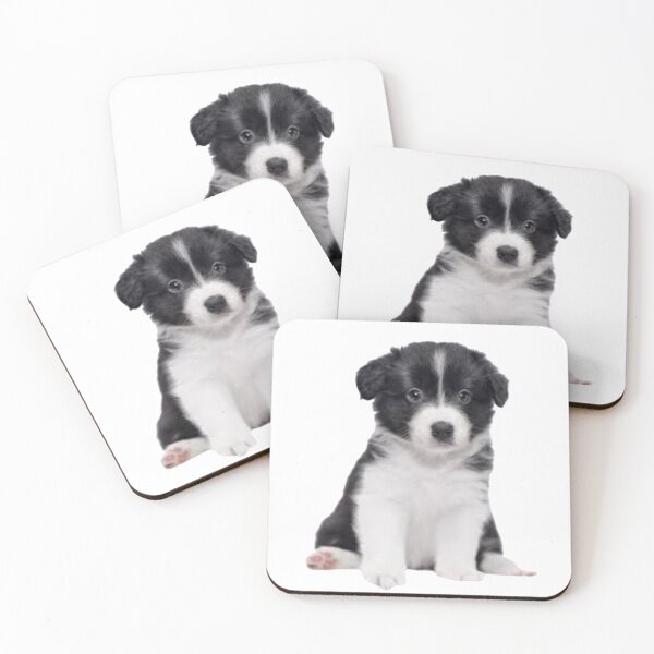 Item preview, Puppy Border Collie designed and sold by TheAnimalZ00.
