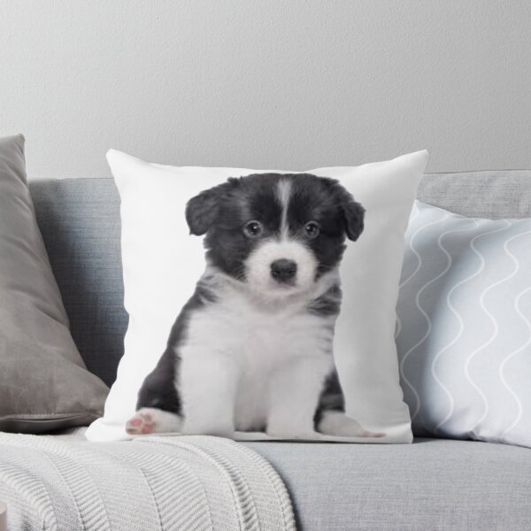 Item preview, Puppy Border Collie designed and sold by TheAnimalZ00.