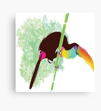bird angry Canvas Print