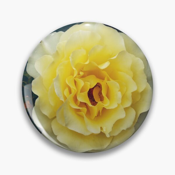 Item preview, Yellow Rose designed and sold by mrhighsky.