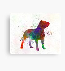 Staffordshire Bull Terrier in watercolor Canvas Print