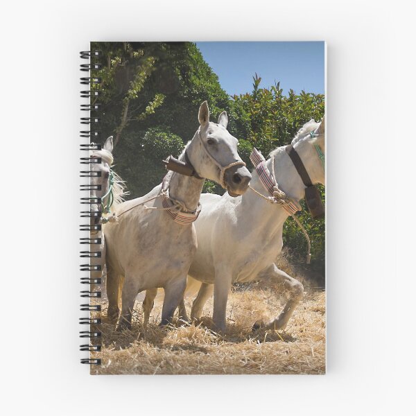 Item preview, Traditional spanish threshing designed and sold by peter hayward.