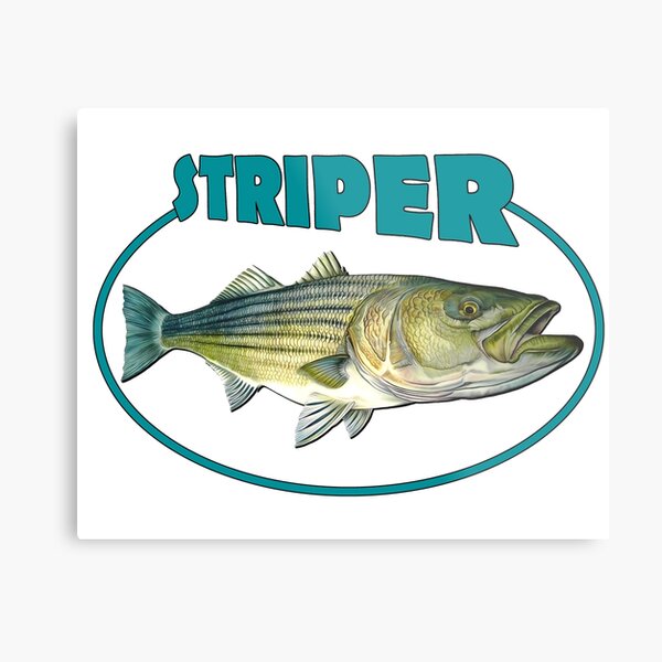 Striped Bass Fishing Art Prints Sling Chair by FishwearDesigns