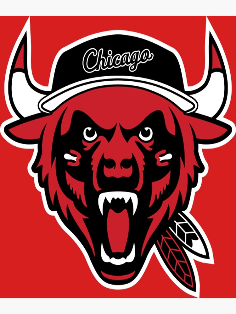 Chicago Sports Teams Bears Bulls Blackhawks Logo Mashup T shirt L Large