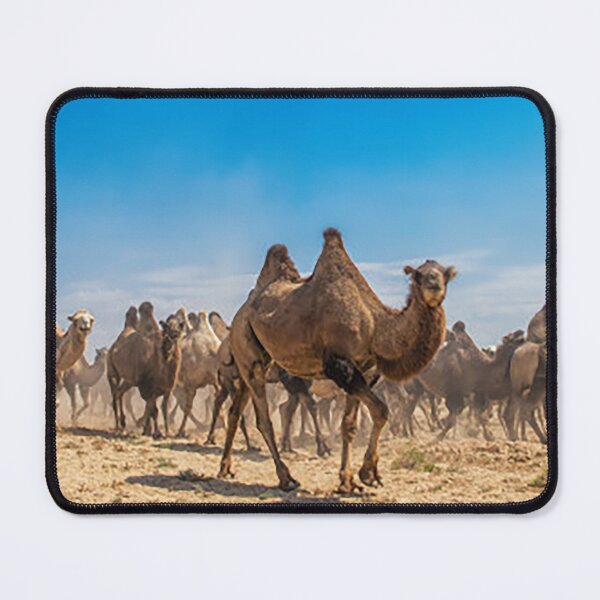 Item preview, camels designed and sold by OrionPhotograph.