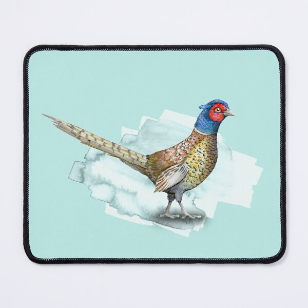 Item preview, Common pheasant designed and sold by Bwiselizzy.
