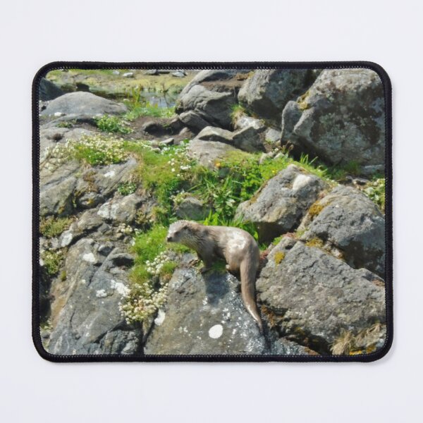 Item preview, Otter on the rocks designed and sold by niki2028.