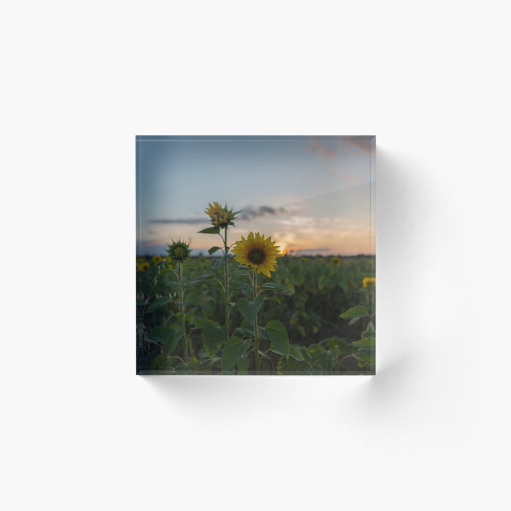 Item preview, Acrylic Block designed and sold by SeanCoombes.