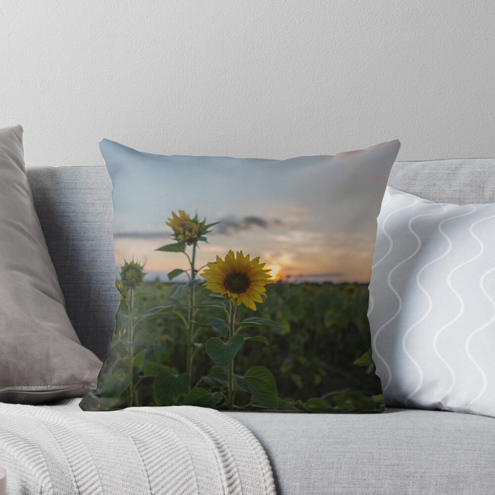 Item preview, Throw Pillow designed and sold by SeanCoombes.