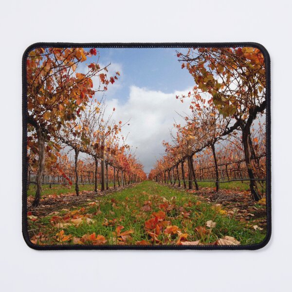 Item preview, Autumn in the vines. designed and sold by Steve Chapple.