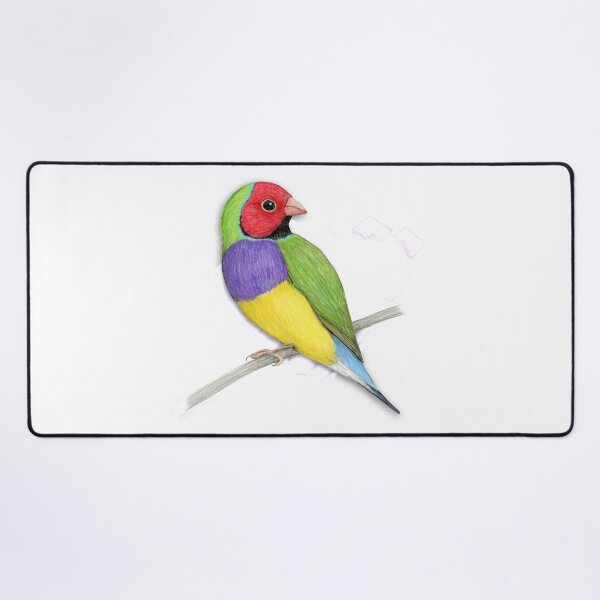Item preview,  Gouldian finch colour pencil drawing designed and sold by Bwiselizzy.