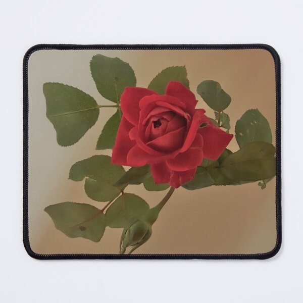 Item preview, Ruby Wedding Anniversary Rose designed and sold by niki2028.
