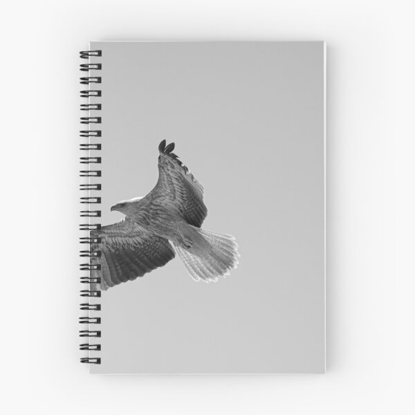 Item preview, Cometa designed and sold by WilliamBeck.