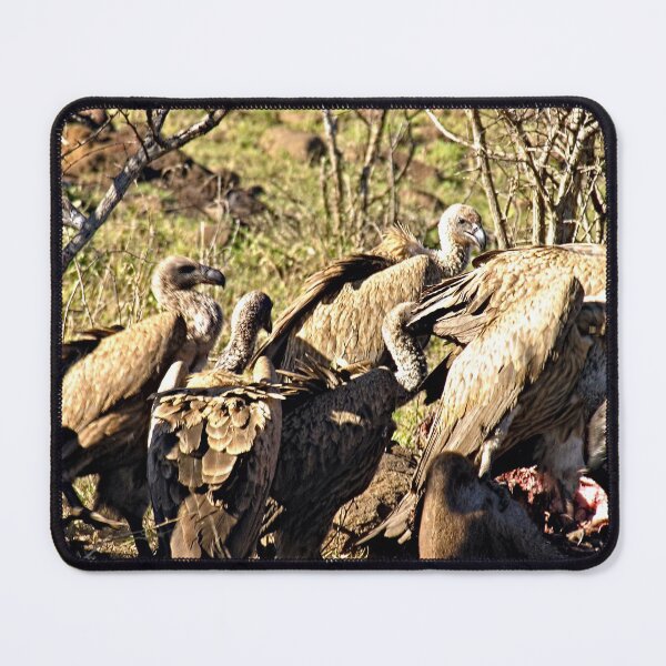 Item preview, African Vultures Birds Having a Meal designed and sold by worldways.