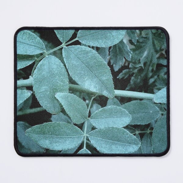 Item preview, Cool leaves pattern designed and sold by maisiriva.