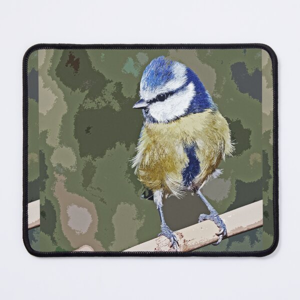 Item preview, r1244/ New Finition 2021 : " Mésange Bleu " paint 14 (c)(h) Olavia-Olao / Okaio Créations designed and sold by o.okaïo.
