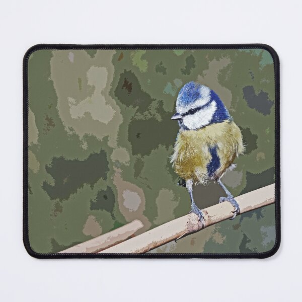 Item preview, r1243/ New Finition 2021 : " Mésange Bleu " peinture 14  (c)(t) Olavia-Olao / Okaio Créations  designed and sold by o.okaïo.