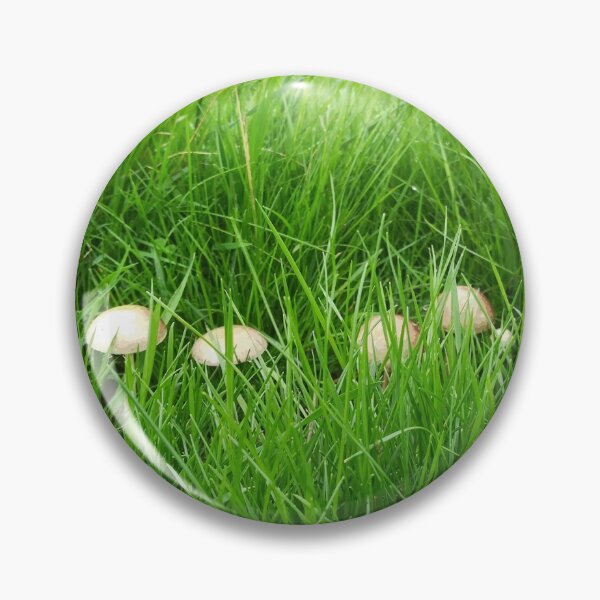 Artikelvorschau, März der Pilze entworfen und verkauft von TheScraggyBeard.