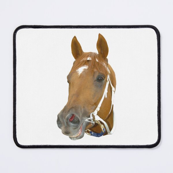 Smiling horse Mouse Pad