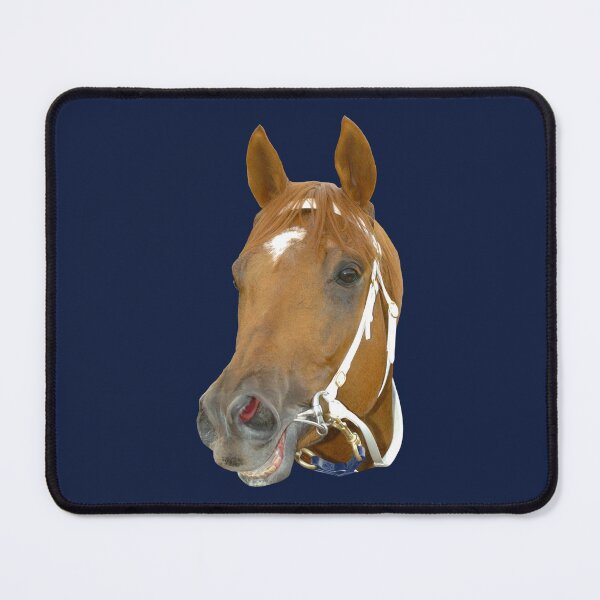 Smiling horse 2 Mouse Pad