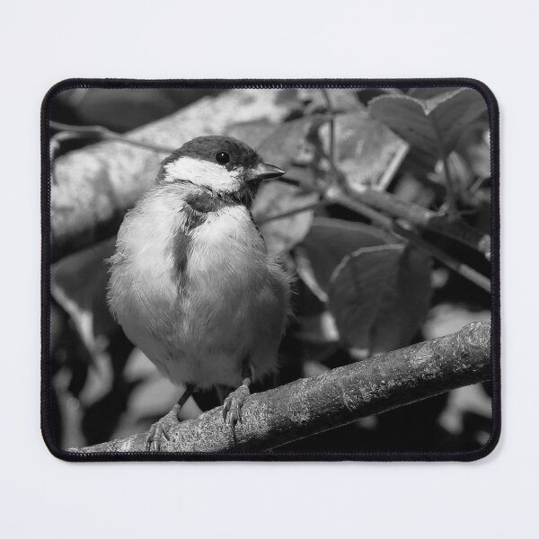 Item preview, r1352/ new finition 2021 Birds 04 a (n-b)(t) by Olao-Olavia / Okaio Créations designed and sold by o.okaïo.
