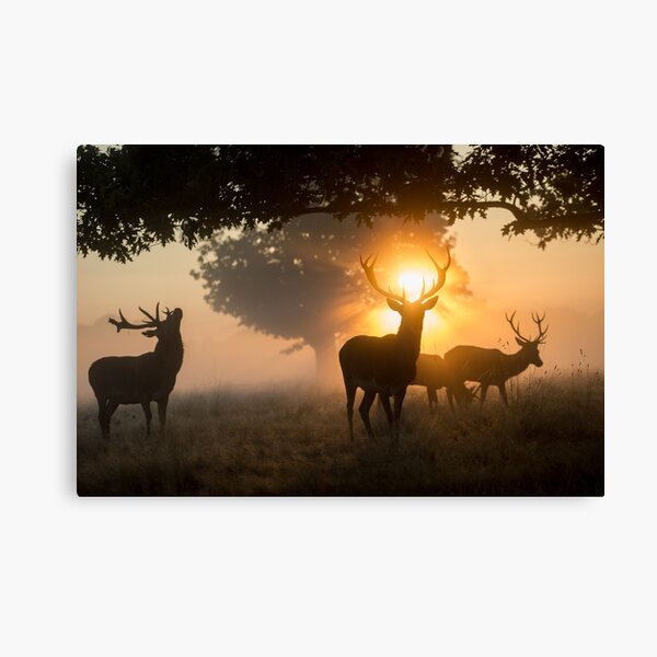 Item preview, Stags and a halo of dawn fire designed and sold by Junkyardmax.