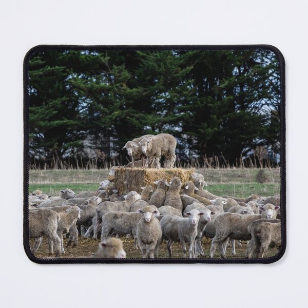 Item preview, Holding an audience designed and sold by Steve Chapple.