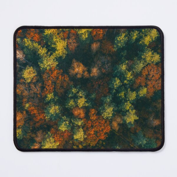 Item preview, Autumn forest designed and sold by OrionPhotograph.