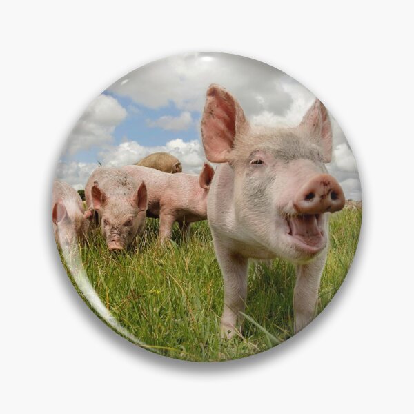 Item preview, Happy free ranging. designed and sold by Steve Chapple.