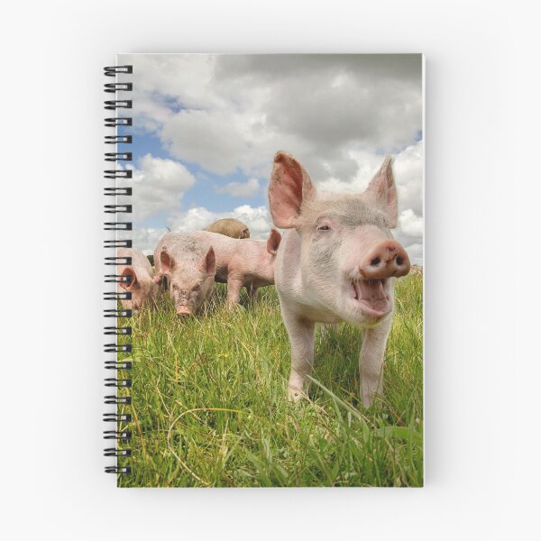 Item preview, Happy free ranging. designed and sold by Steve Chapple.