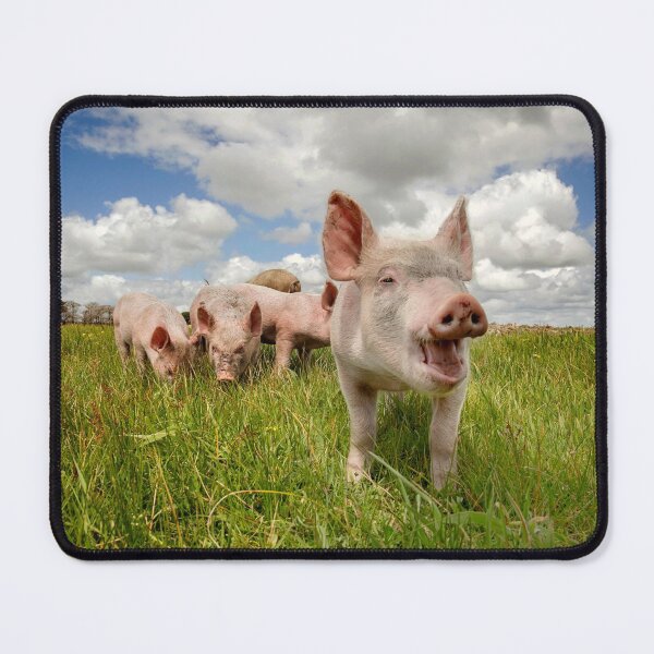 Item preview, Happy free ranging. designed and sold by Steve Chapple.