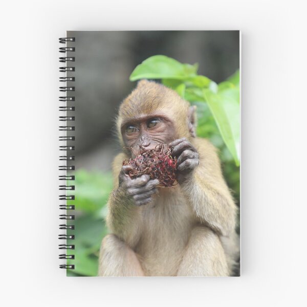 Item preview, Hungry Monkey designed and sold by ivoly.