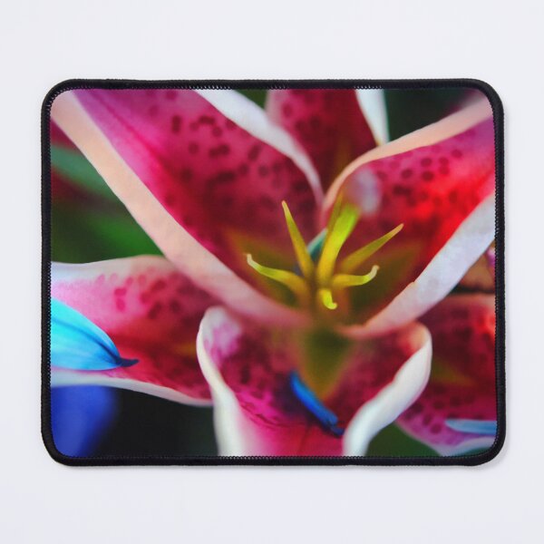 Item preview, Pink and White Lily designed and sold by bloomingvine.