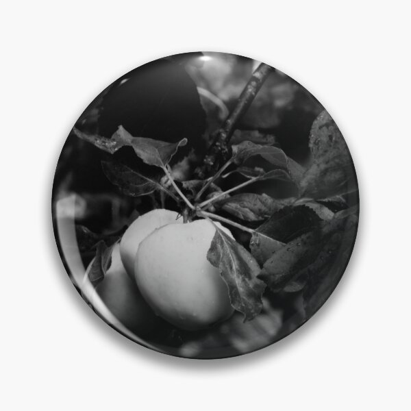 Item preview, There are good and bad apples you know bw designed and sold by Jouko Lehto Photography.