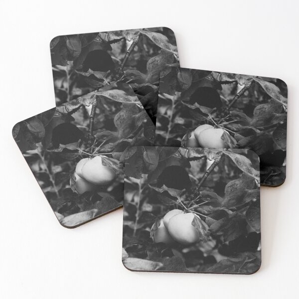 Item preview, There are good and bad apples you know bw designed and sold by Jouko Lehto Photography.