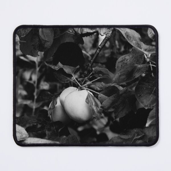 Item preview, There are good and bad apples you know bw designed and sold by Jouko Lehto Photography.